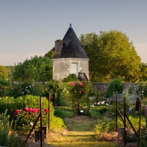 Alix de Saint-Venant