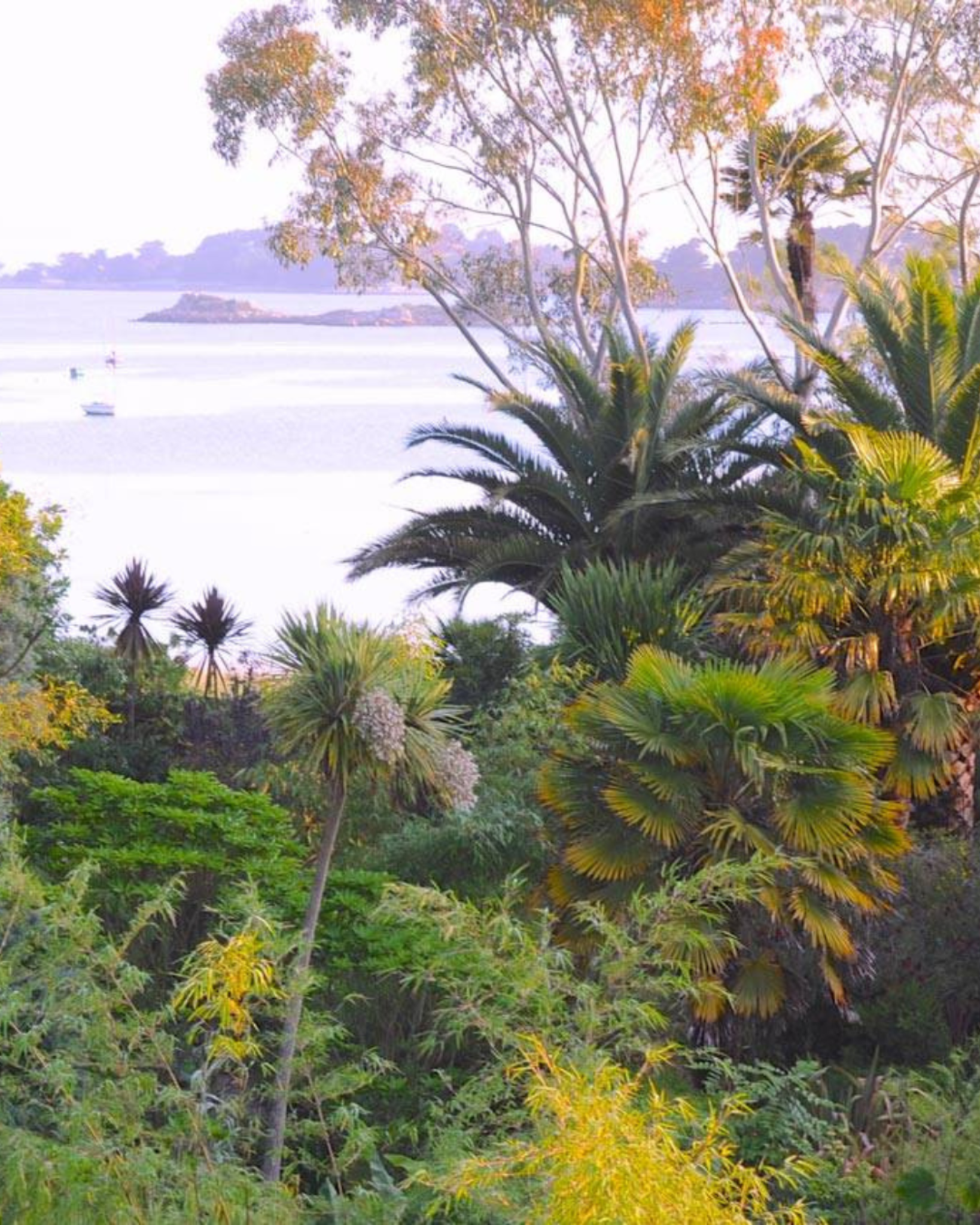 Aperçu saison 2, jardin 2