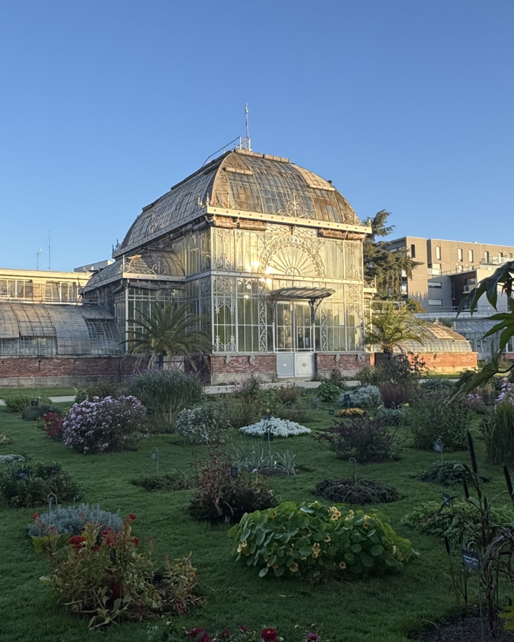 Aperçu saison 2, jardin 3